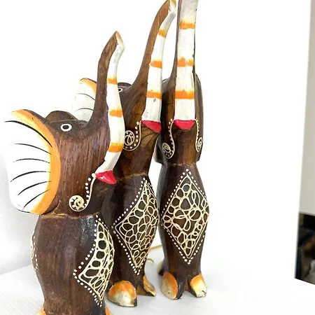 Felicity Super Burgas Stad