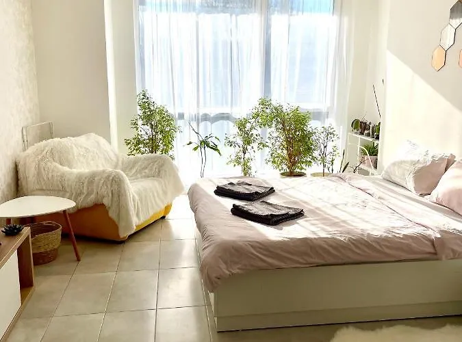 Felicity Super 부르가스